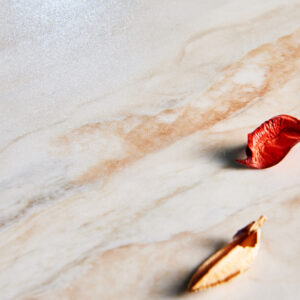 ultra white diamond velvet porcelain tile – golden phoenix