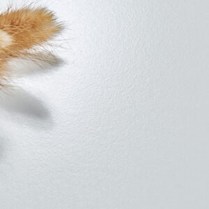 dolman stone porcelain tile – cream white